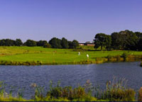 Golfclub Sülfeld e.V. Golfclub Sülfeld e.V.
